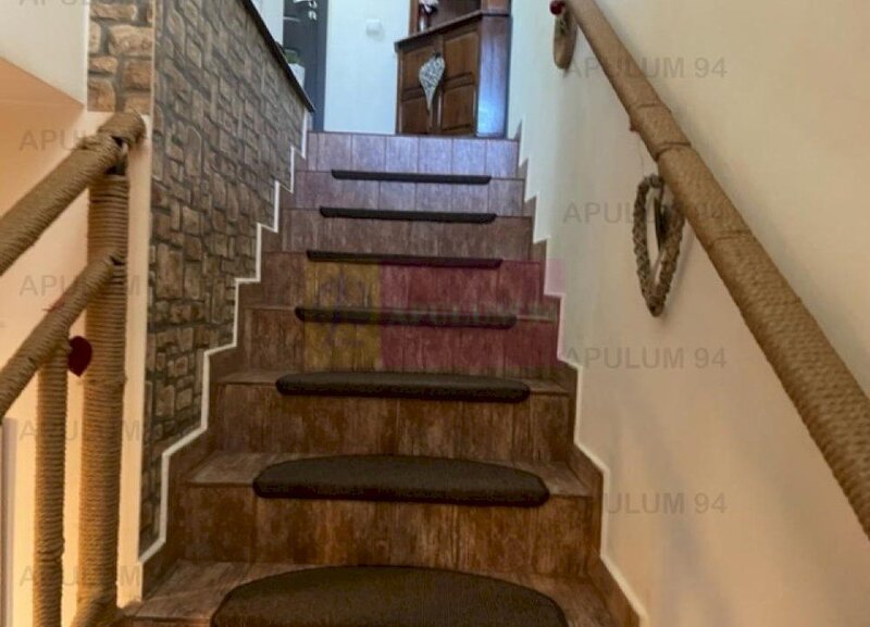 Duplex Domnesti- Putul Olteni.